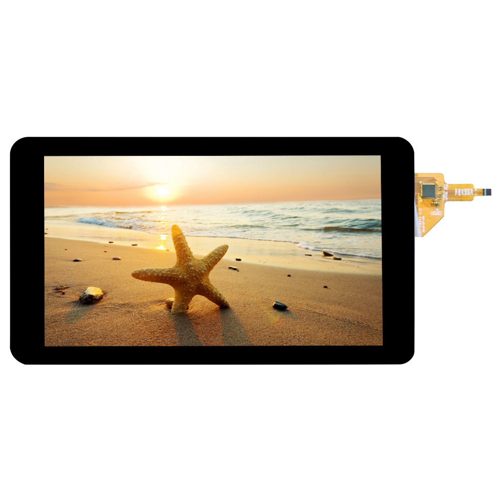 ����Ϊʲôû�е�������������