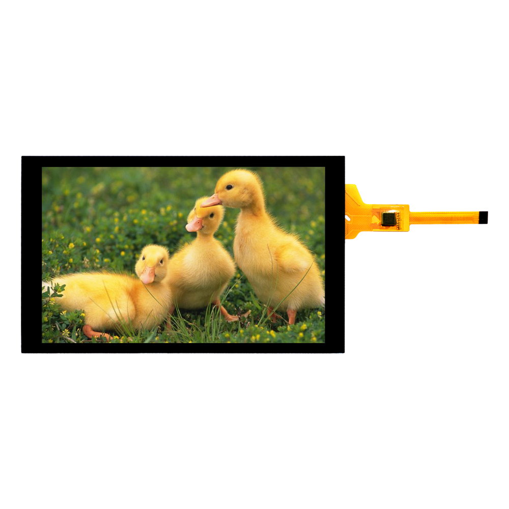 ���ݴ������������������